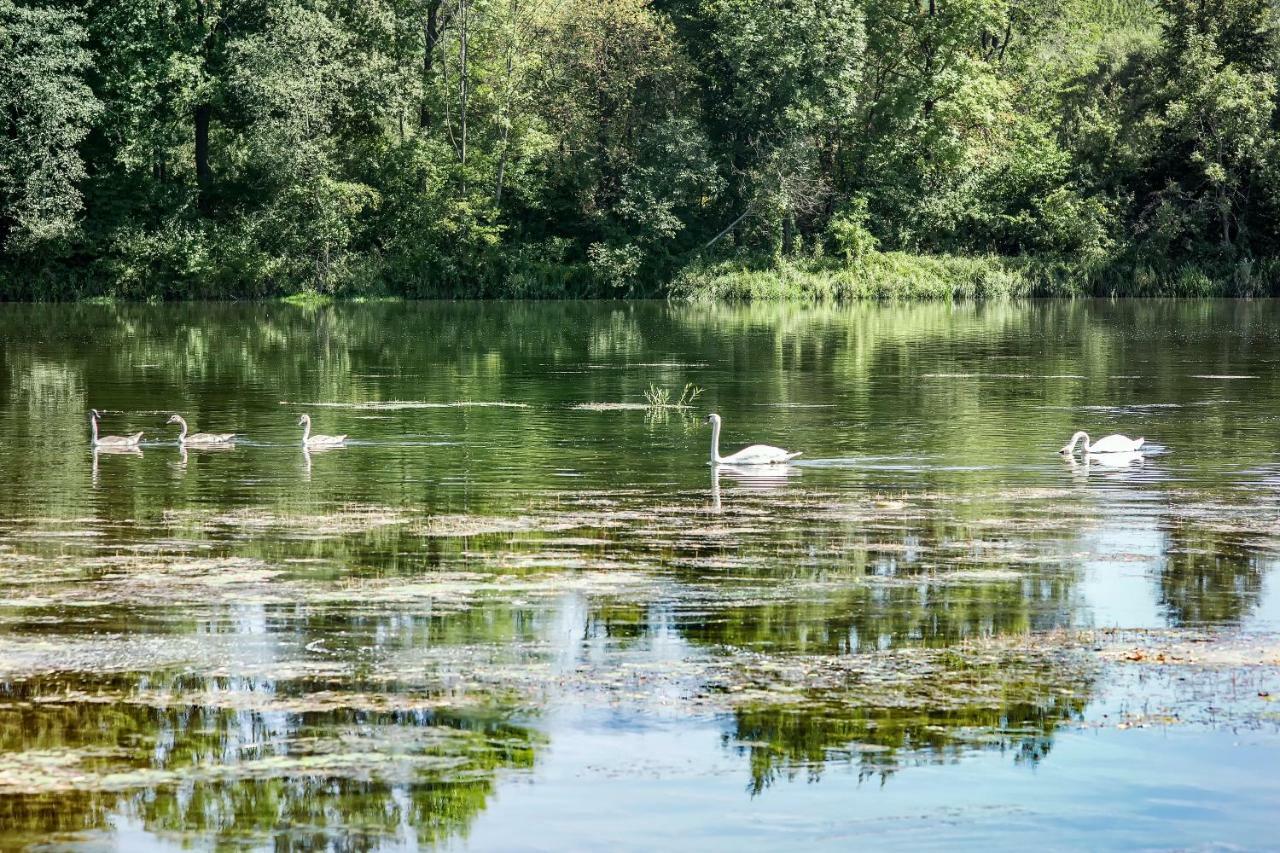 Domek nad Sanem Zagorz Zewnętrze zdjęcie