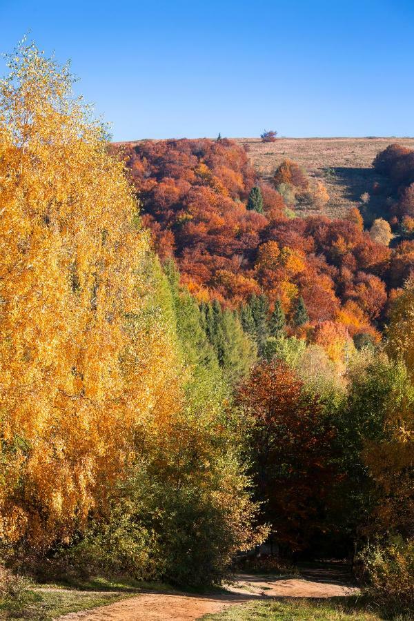 Domek nad Sanem Zagorz Zewnętrze zdjęcie